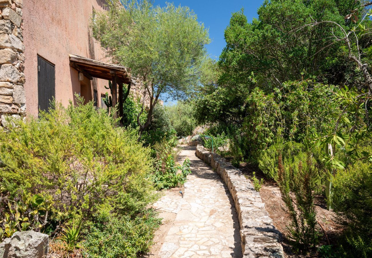 Appartement à Porto Rotondo - Caletta Nest 108 - maison de vacances avec piscine