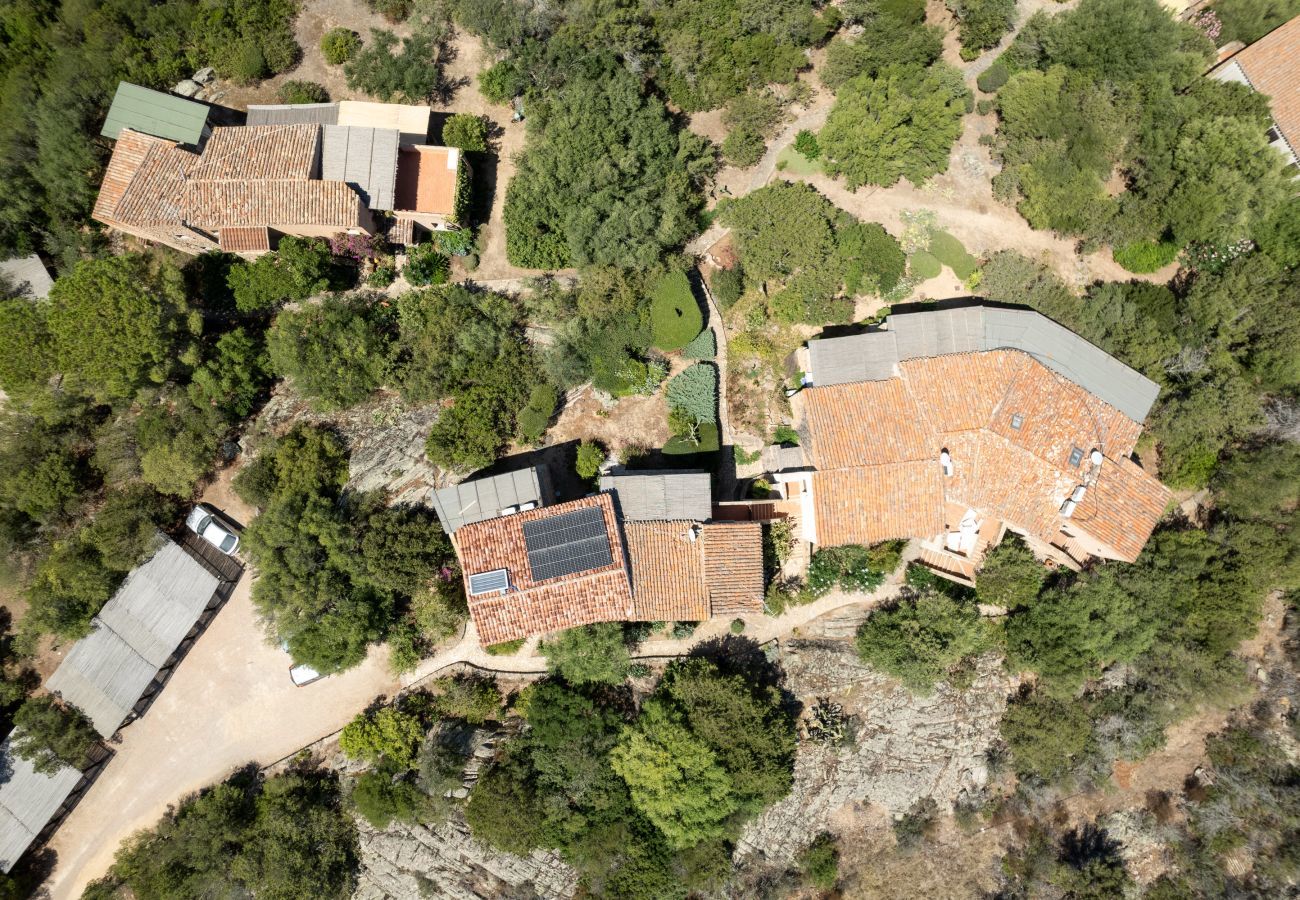 Appartement à Porto Rotondo - Caletta Nest 108 - maison de vacances avec piscine