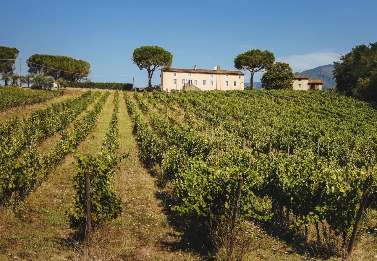 Villa à Capannori - FATTORIA CAMIGLIANO Winery & Farmhouse with Pool