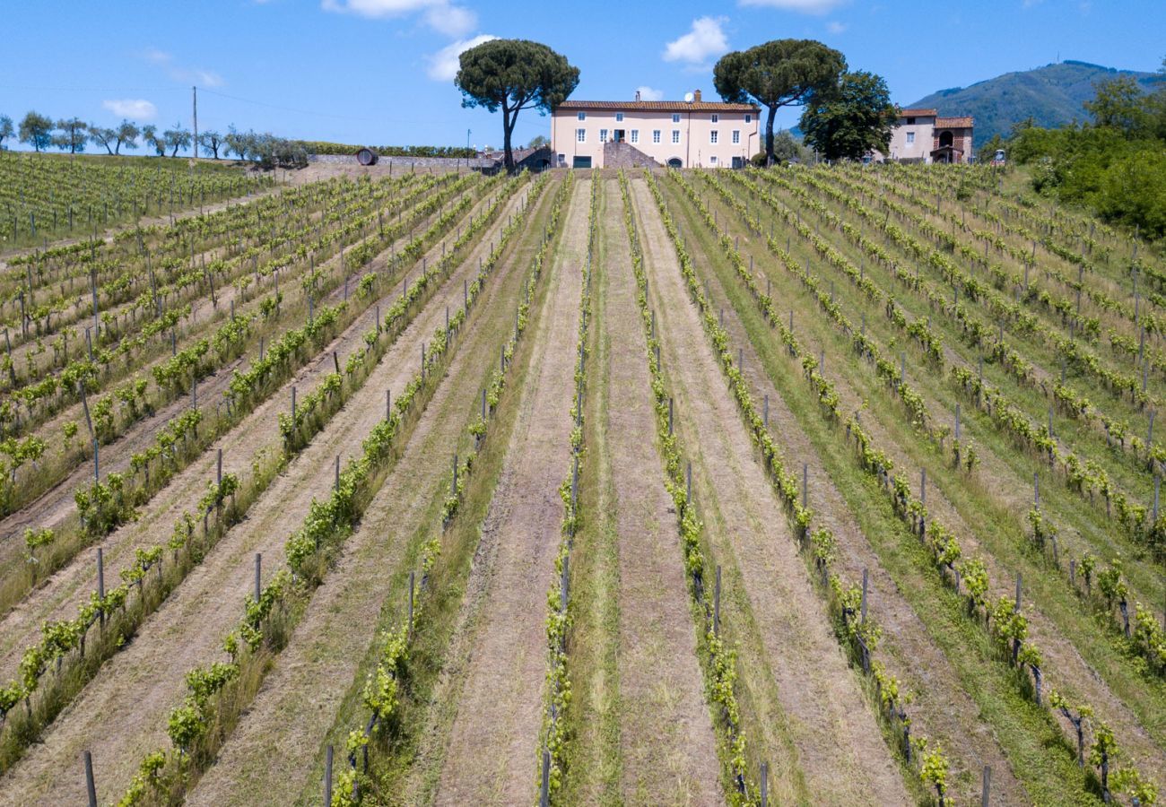 Villa à Capannori - FATTORIA CAMIGLIANO Winery & Farmhouse with Pool