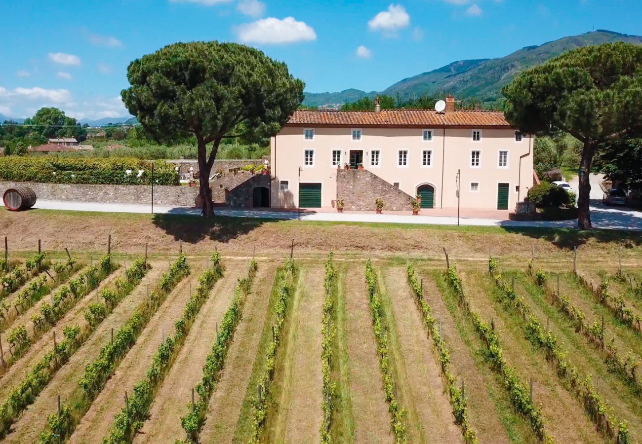 Villa à Capannori - FATTORIA CAMIGLIANO Winery & Farmhouse with Pool