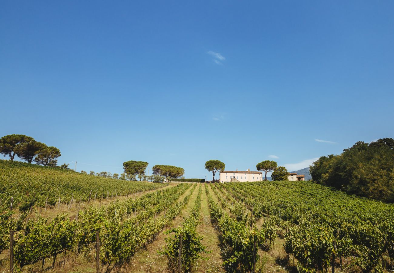 Villa à Capannori - FATTORIA CAMIGLIANO Winery & Farmhouse with Pool