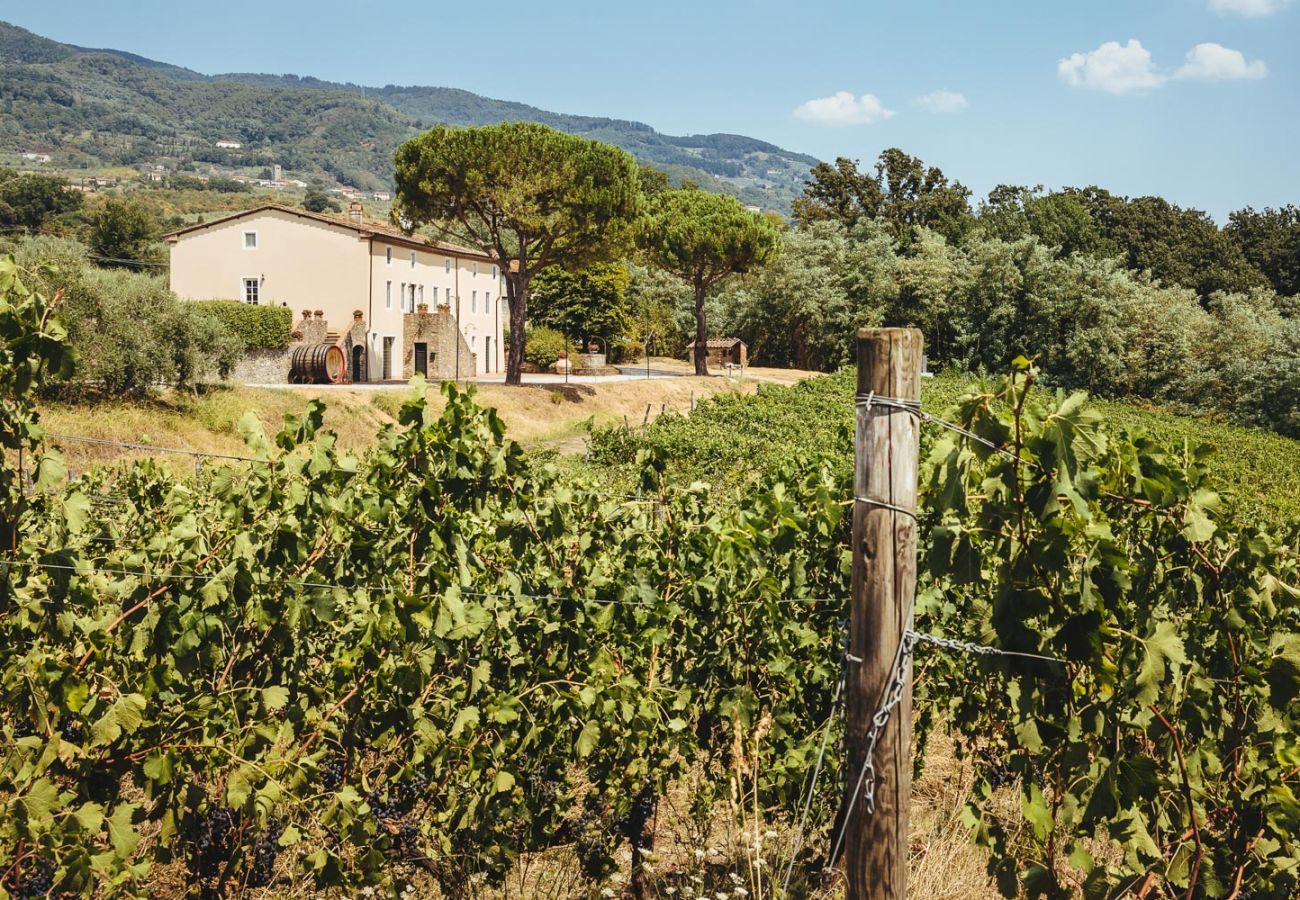 Villa à Capannori - FATTORIA CAMIGLIANO Winery & Farmhouse with Pool