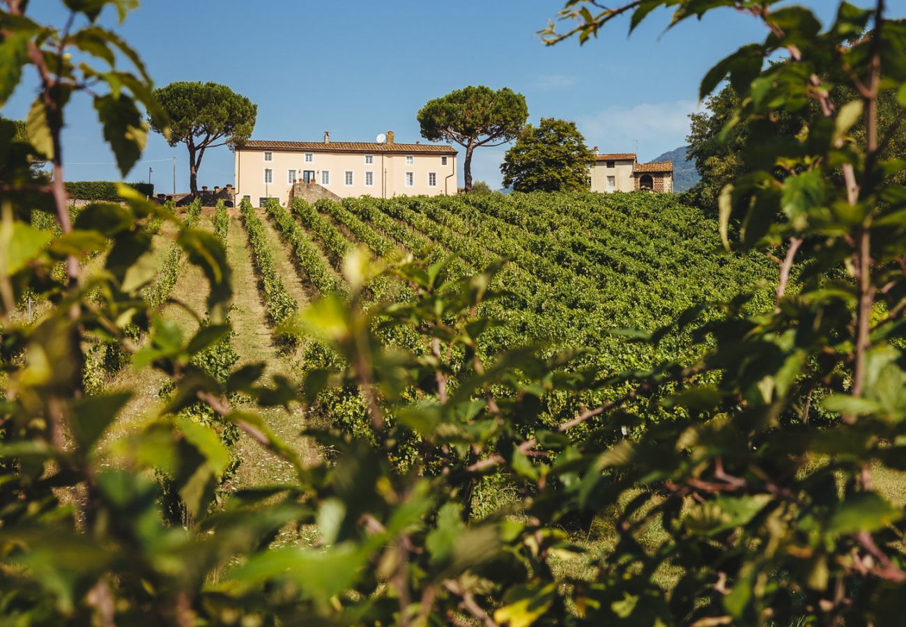 Villa à Capannori - FATTORIA CAMIGLIANO Winery & Farmhouse with Pool