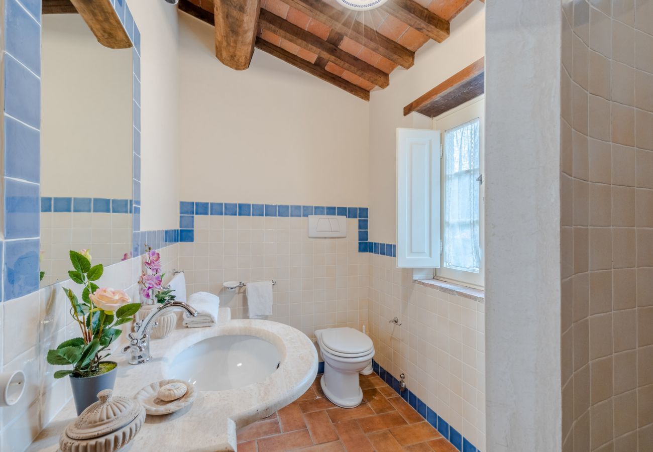 Villa à Lucques - Tuscan Fizz, a traditional Stone Farmhouse with Private Pool and Amazing View among the Vineyards in Lucca