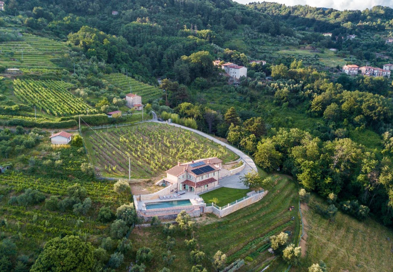 Villa à Pescaglia - Villa Grema, a Farmhouse with Private Infinity Pool between Lucca and the Beach