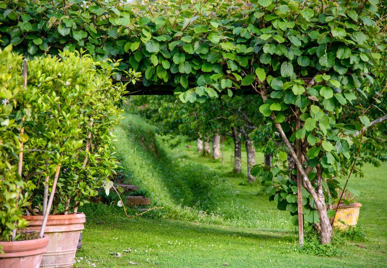 Villa à Capannori - Citrus Charm Farmhouse, a Country Villa with Pool on the hills of Lucca