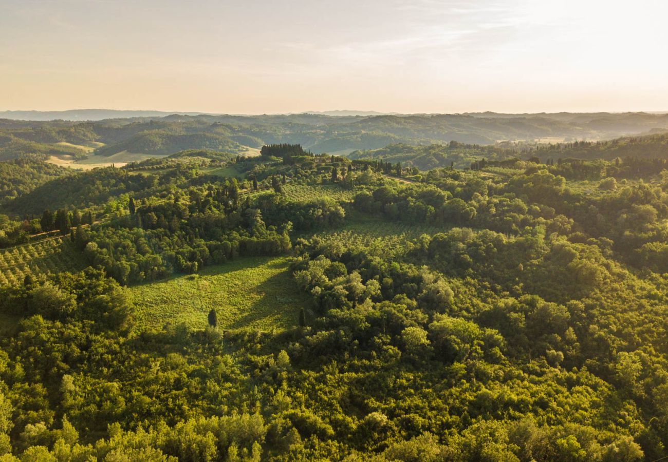 Villa à San Miniato - Villa San Miniato Corniano: Iconic 5 Bedrooms Farmhouse with Pool