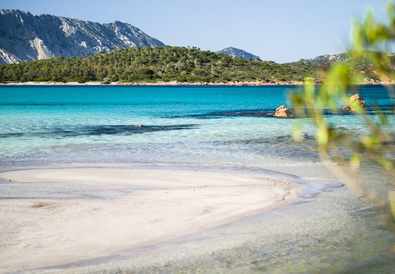 Villa à San Teodoro - Villa Olive - retraite avec piscine près de la plage de Lu Impostu