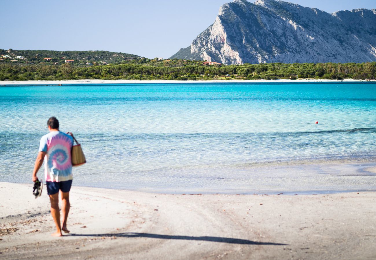 Villa à San Teodoro - Villa Olive - retraite avec piscine près de la plage de Lu Impostu