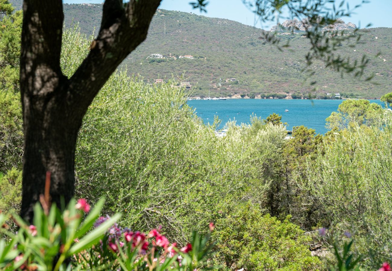 Appartement à Porto Rotondo - Caletta Nest 88 - maison avec piscine et vue mer