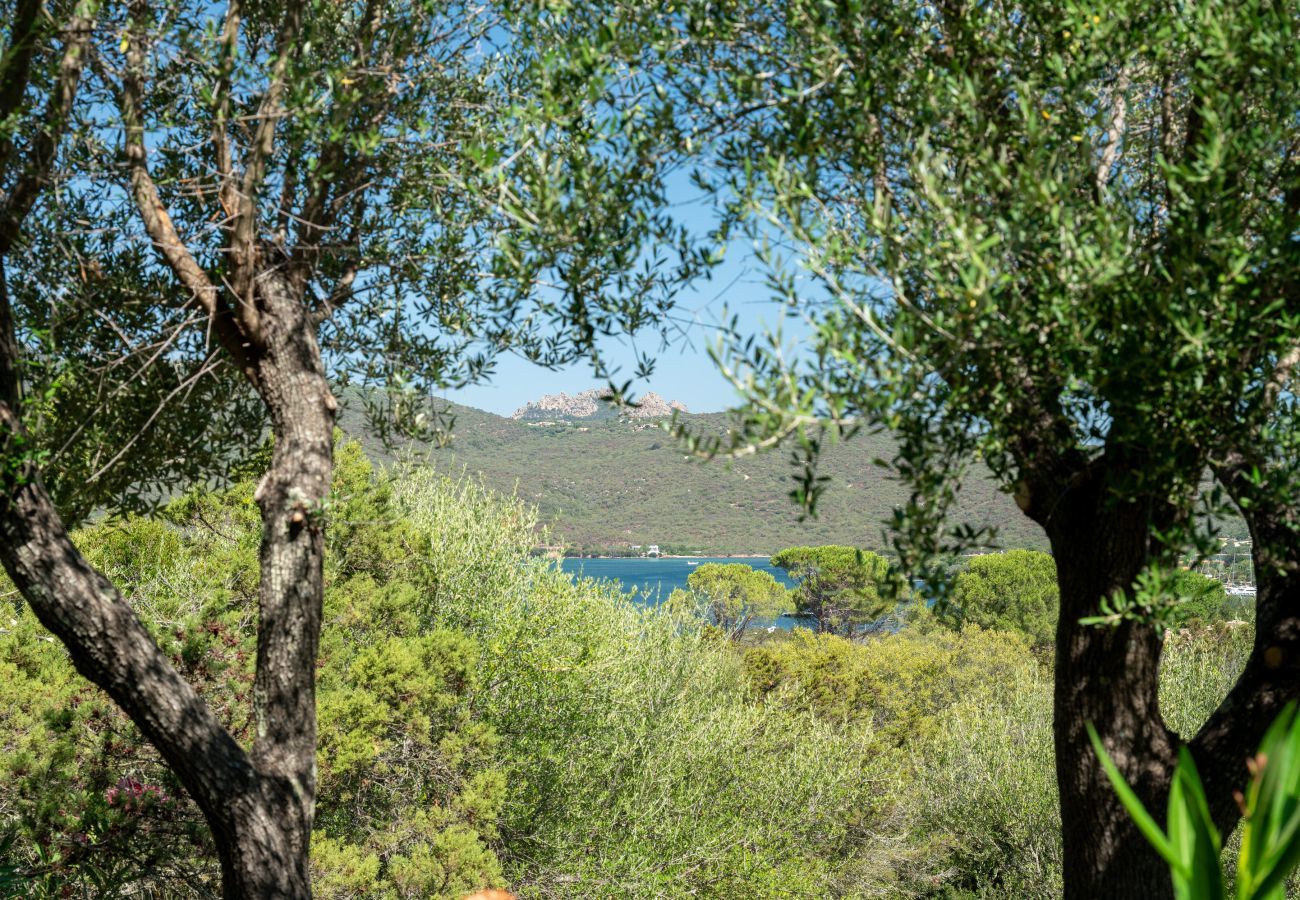 Appartement à Porto Rotondo - Caletta Nest 88 - maison avec piscine et vue mer