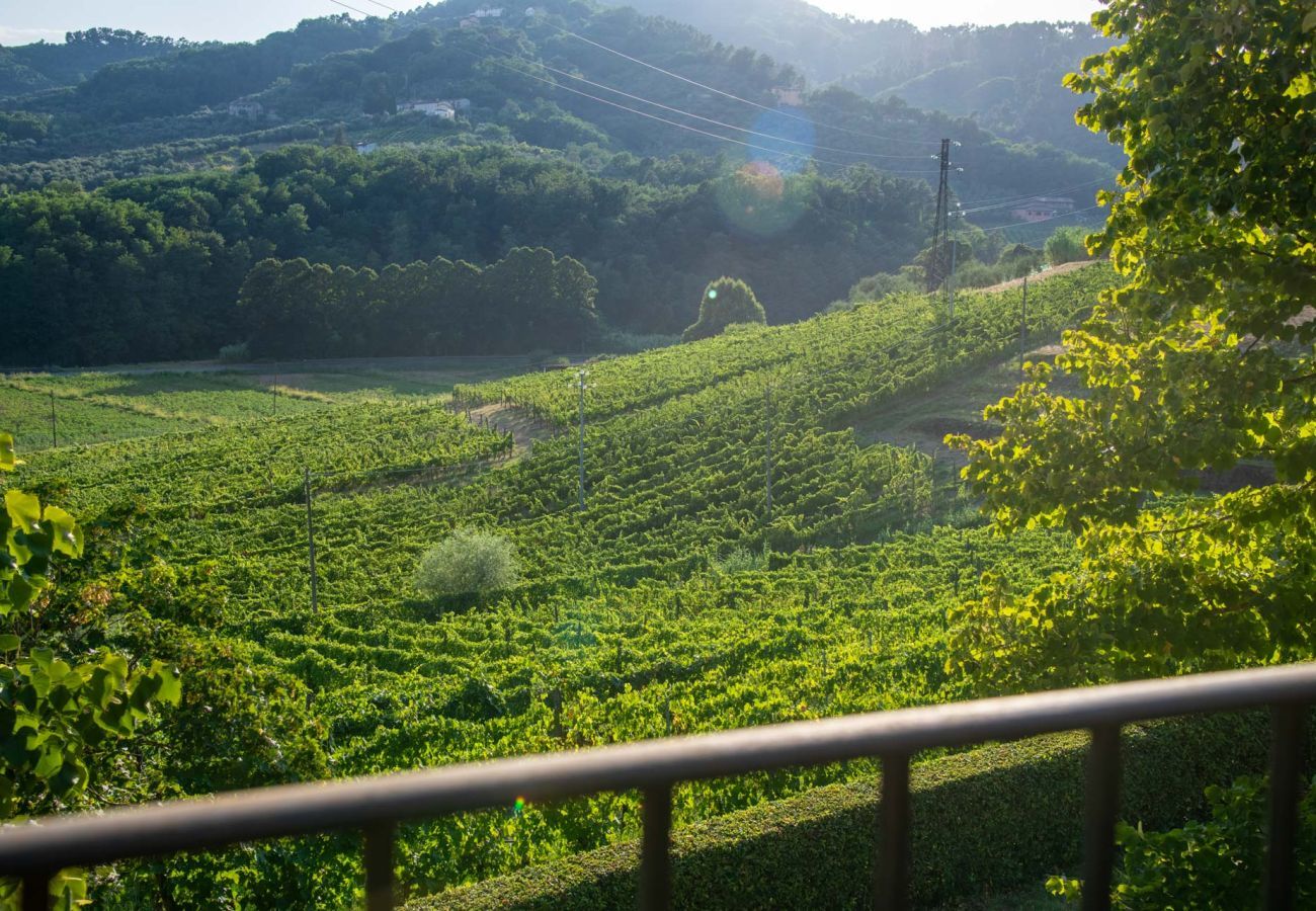 Villa à Lucques - Valle del Sole Winery Farmhouse with Private Pool