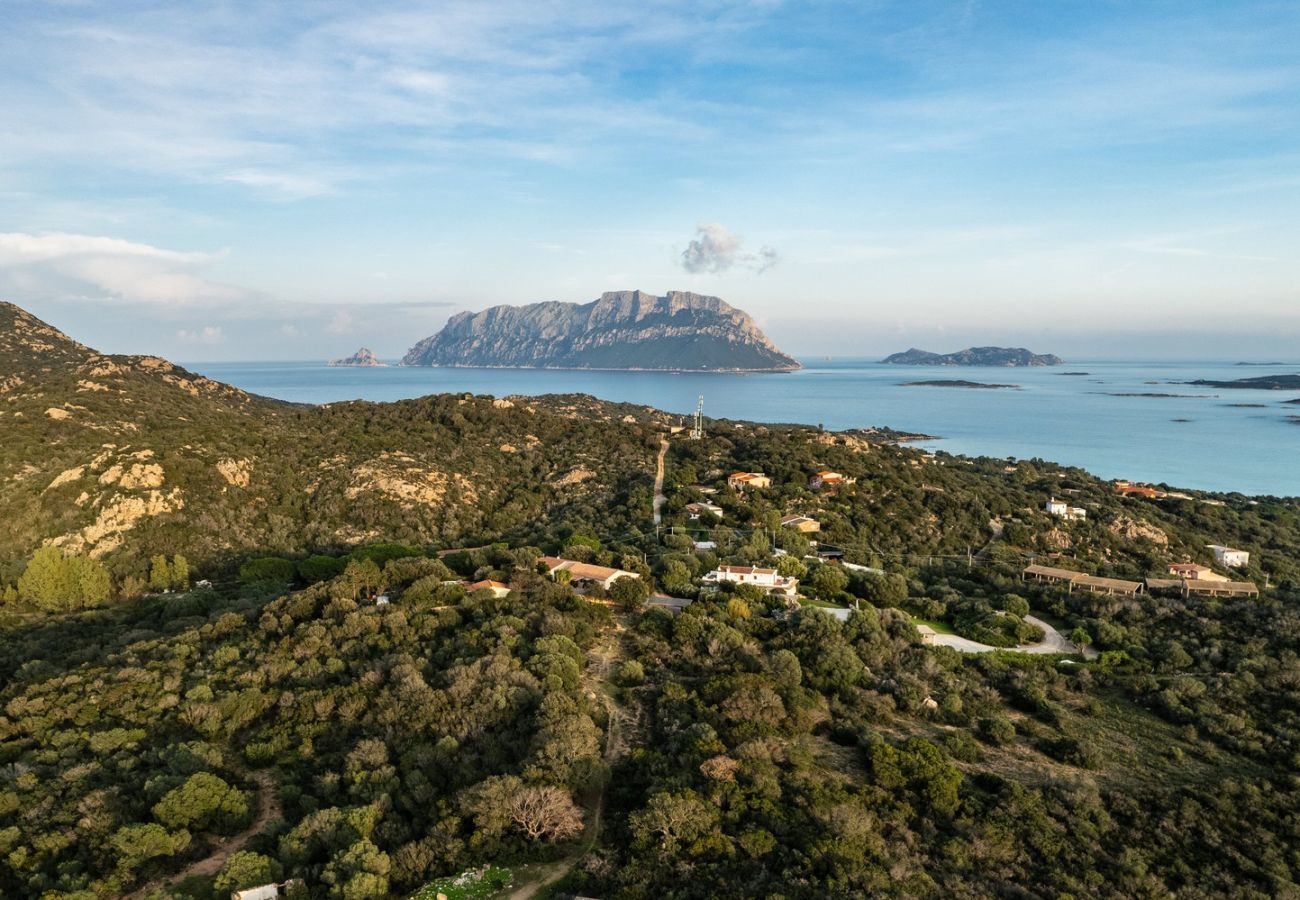 Villa à Olbia - Villa Aurazure