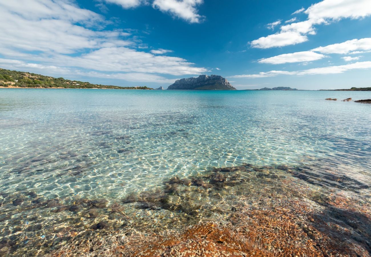 Villa à Olbia - Villa Aurazure